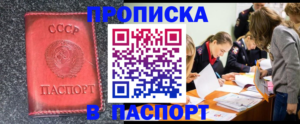 прописка для школы в Волгоградской области
